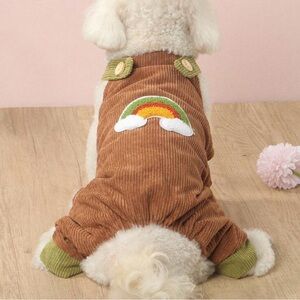 Shein Puppy dog brown 70s corduroy rainbow overalls XS